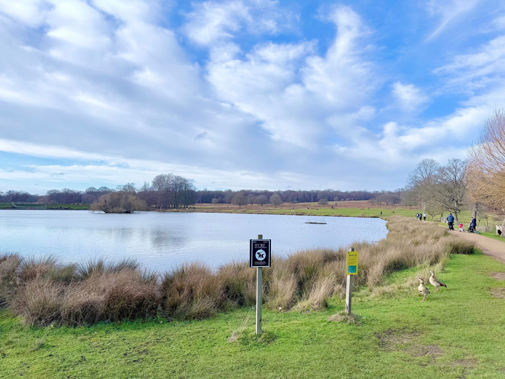 Richmond Park, London