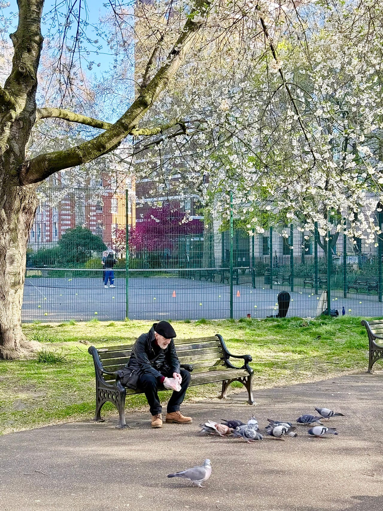 Cartwright Gardens, London