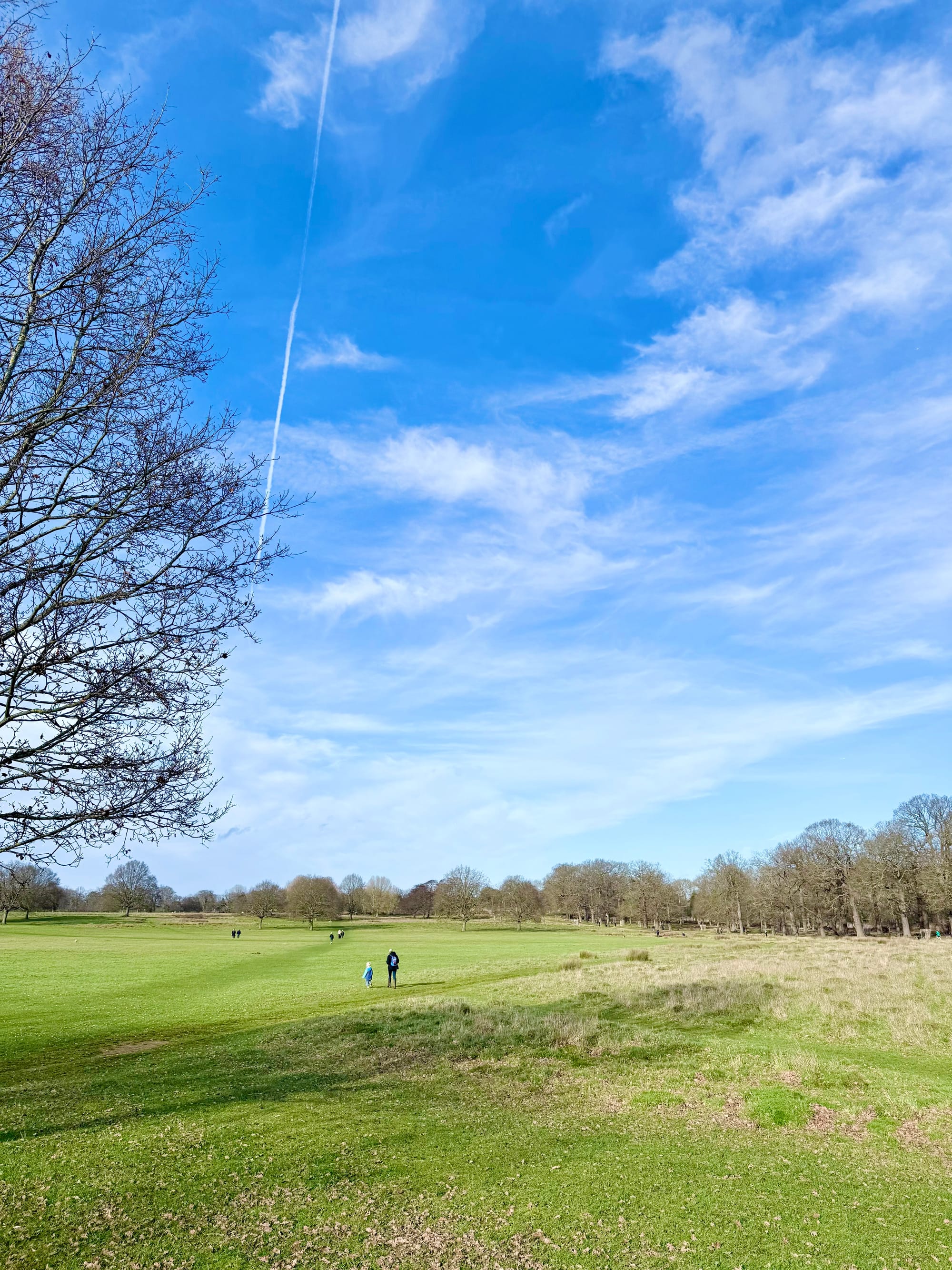 Richmond Park, London