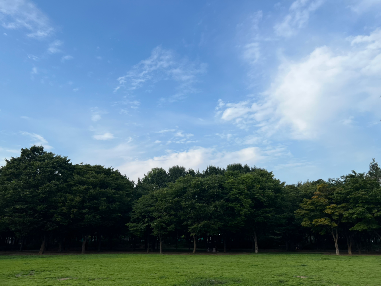 서울 성수동 서울숲
