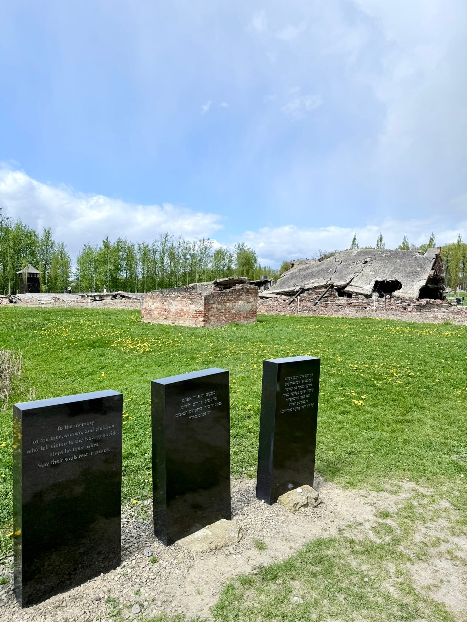 Auschwitz II–Birkenau, Oświęcim, Poland
