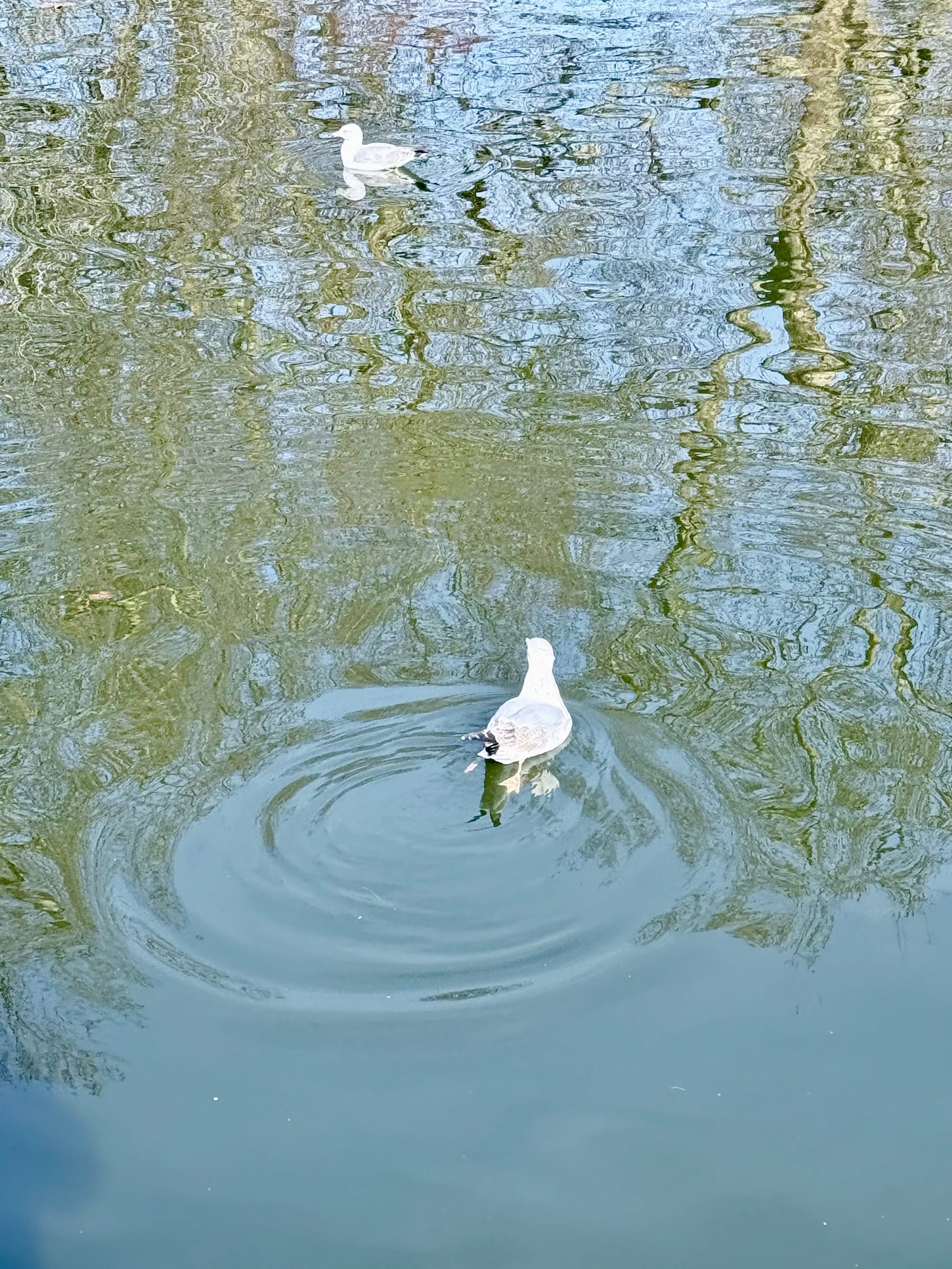 St James's Park, London