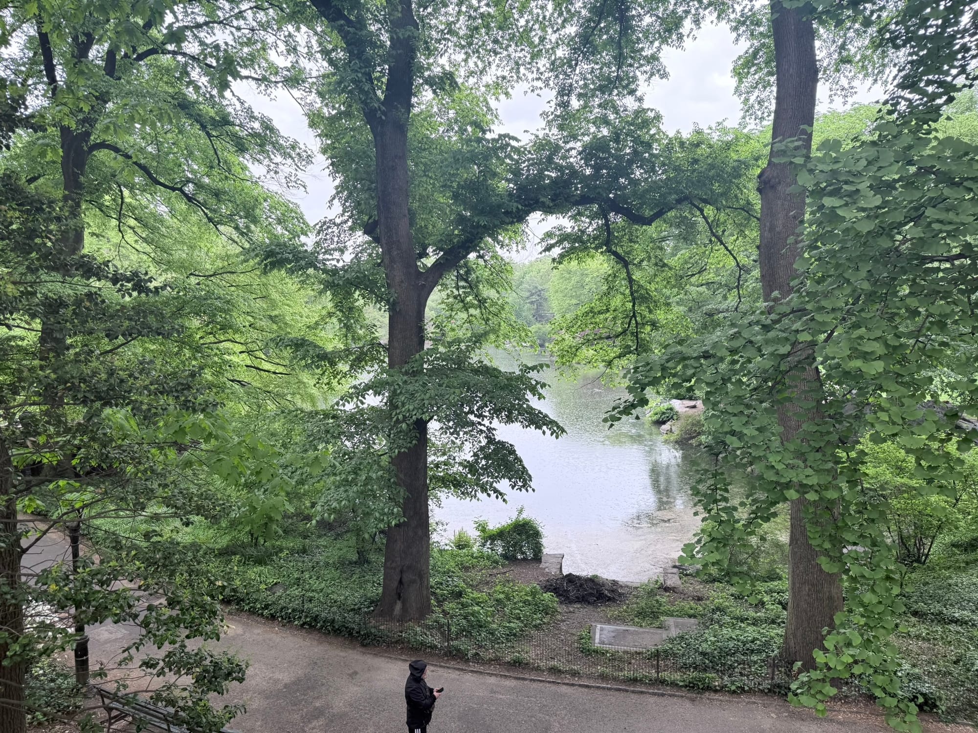 Central Park, New York