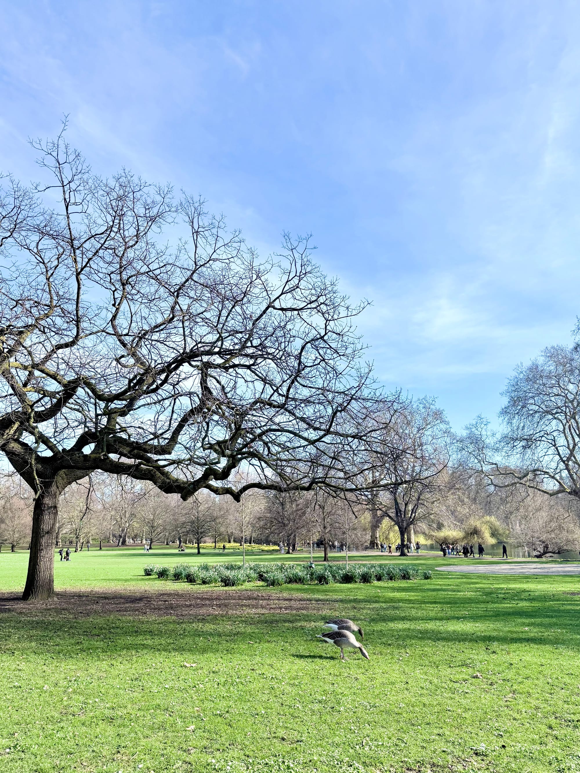 The Green Park, London